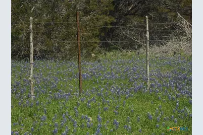 10655 E Trimmier Road, Killeen, TX 76542 - Photo 17