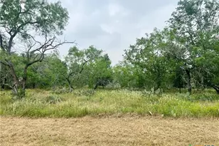 Lot 14 E Wisteria Ln, Smiley, TX 78159 - Photo 9