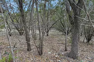 1081 Dog Leg Ln, Spring Branch, TX 78070 - Photo 1