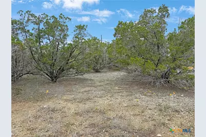 1081 Dog Leg Lane, Spring Branch, TX 78070 - Photo 5