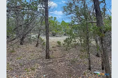 1081 Dog Leg Lane, Spring Branch, TX 78070 - Photo 3