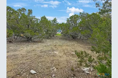 1081 Dog Leg Lane, Spring Branch, TX 78070 - Photo 9