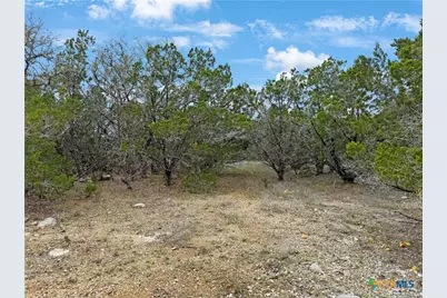 1084 Dog Leg Lane, Spring Branch, TX 78070 - Photo 7