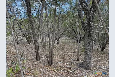 1084 Dog Leg Lane, Spring Branch, TX 78070 - Photo 3