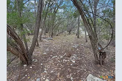 1084 Dog Leg Lane, Spring Branch, TX 78070 - Photo 1