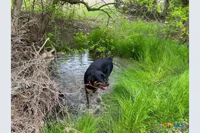 4321 & 4183 County Road 220, Gatesville, TX 76528 - Photo 47