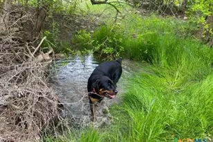 4321 & 4183 County Road 220, Gatesville, TX 76528 - Photo 47