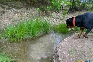 4321 & 4183 County Road 220, Gatesville, TX 76528 - Photo 41