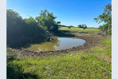 4321 & 4183 County Road 220, Gatesville, TX 76528 - Photo 7