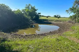 4321 & 4183 County Road 220, Gatesville, TX 76528 - Photo 7