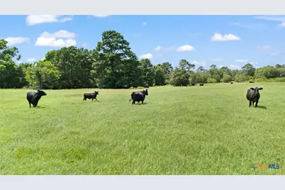 Tbd (Tracts 11 & 12) St Delight Road, Paige, TX 78659 - Photo 7