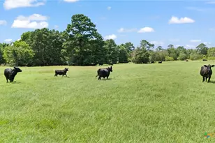 Tbd (Tracts 11 & 12) St Delight Rd, Paige, TX 78659 - Photo 7