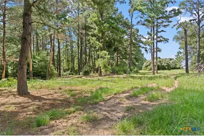 Tbd (Tracts 11 & 12) St Delight Road, Paige, TX 78659 - Photo 5
