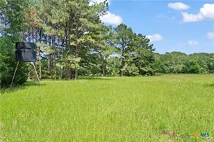 Tbd (Tracts 11 & 12) St Delight Rd, Paige, TX 78659 - Photo 21