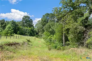 Tbd (Tracts 11 & 12) St Delight Rd, Paige, TX 78659 - Photo 37
