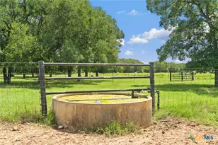 Tbd (Tracts 11 & 12) St Delight Rd, Paige, TX 78659 - Photo 13