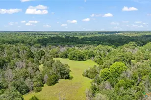 Tbd (Tracts 11 & 12) St Delight Rd, Paige, TX 78659 - Photo 19