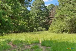 Tbd (Tracts 11 & 12) St Delight Rd, Paige, TX 78659 - Photo 23