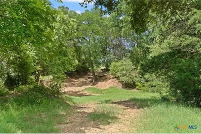 Tbd (Tracts 11 & 12) St Delight Road, Paige, TX 78659 - Photo 15