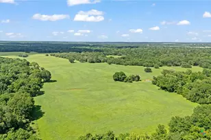 Tbd (Tracts 11 & 12) St Delight Rd, Paige, TX 78659 - Photo 33