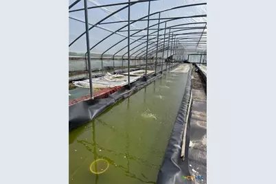 293 Fm-2040, Tivoli, TX 77990 - Photo 3