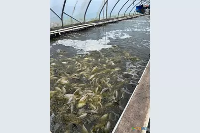 293 Fm-2040, Tivoli, TX 77990 - Photo 7