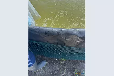 293 Fm-2040, Tivoli, TX 77990 - Photo 5