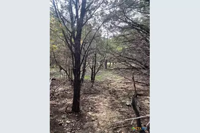 15950 Brazos Drive, Temple, TX 76502 - Photo 5