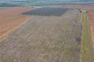 909 FM 712, Marlin, TX 76661 - Photo 7