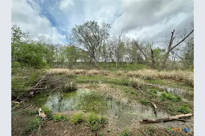 909 Fm 712, Marlin, TX 76661 - Photo 3