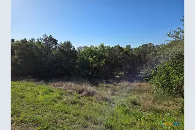 343 Falconwood Drive, San Marcos, TX 78666 - Photo 13