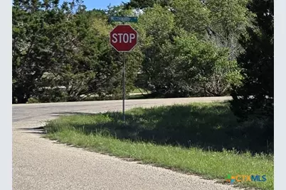 343 Falconwood Drive, San Marcos, TX 78666 - Photo 5