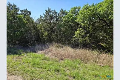 343 Falconwood Drive, San Marcos, TX 78666 - Photo 9