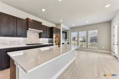 308 Olive Blossom Trail, San Marcos, TX 78666 - Photo 9