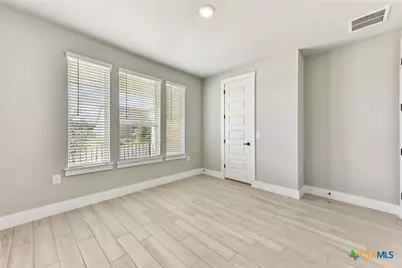 308 Olive Blossom Trail, San Marcos, TX 78666 - Photo 17