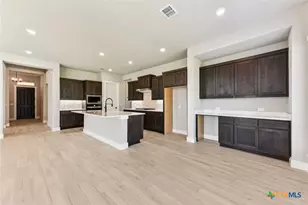 308 Olive Blossom Trl, San Marcos, TX 78666 - Photo 15