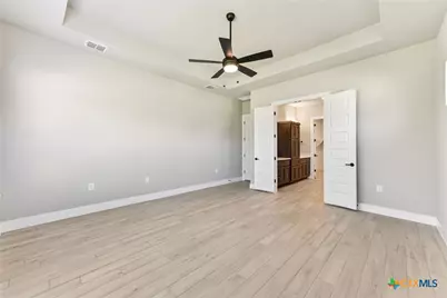 308 Olive Blossom Trail, San Marcos, TX 78666 - Photo 29