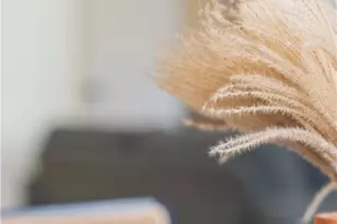 4202 Ermine Trail, Temple, TX 76504 - Photo 9