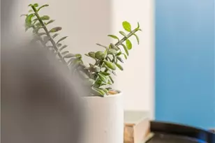 4202 Ermine Trail, Temple, TX 76504 - Photo 37