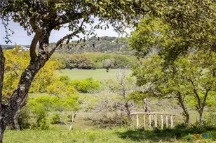 371 River Cliff Pl, Spring Branch, TX 78070 - Photo 37