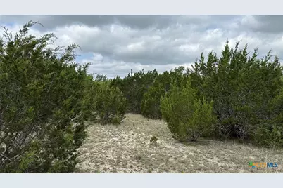 0 Big Divide Road, Copperas Cove, TX 76522 - Photo 5