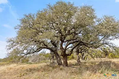 727 Becker Rd, Johnson City, TX 78636 - Photo 1