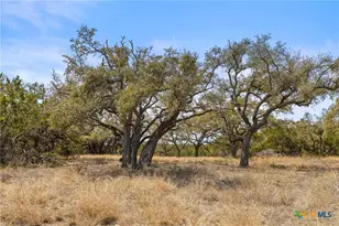 727 Becker Rd, Johnson City, TX 78636 - Photo 11