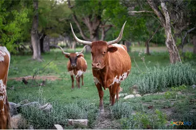 92 Acres N US Highway 281, Lampasas, TX 76550 - Photo 13