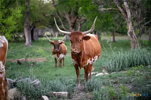 271 County Rd 2804, Lampasas, TX 76550 - Photo 13