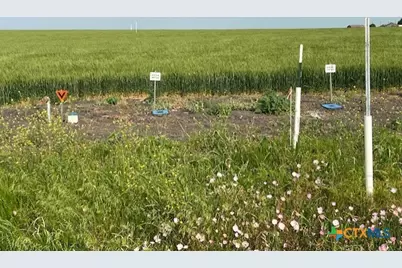 3177 Airville Road, Temple, TX 76501 - Photo 5