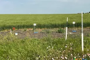 3177 Airville Rd, Temple, TX 76501 - Photo 5