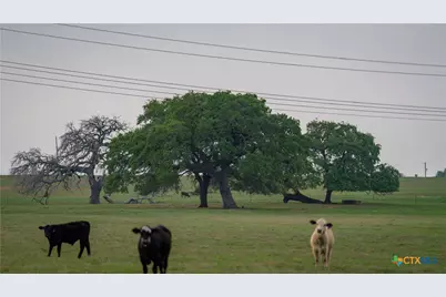 Tbd County Road 404, Floresville, TX 78114 - Photo 21