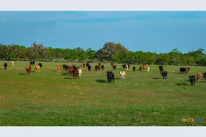 Tbd County Road 404, Floresville, TX 78114 - Photo 23