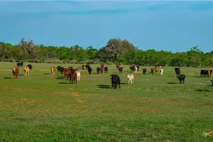 Tbd County Road 404, Floresville, TX 78114 - Photo 23